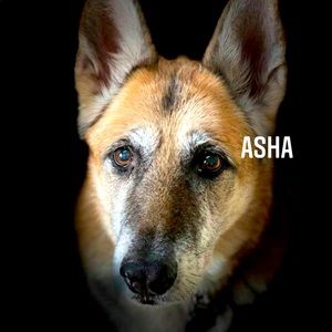 Meet your Posher, Debra